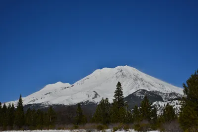 DSC_5896 (Large).JPG